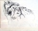 56 - Wild Horses - Gill Upton
